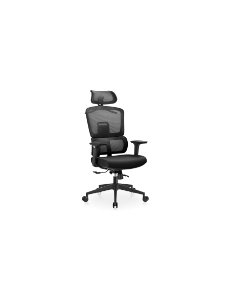 Vanguard | Silla de Oficina Profesional LETTO BELLO