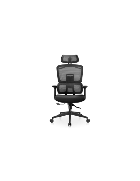 Vanguard | Silla de Oficina Profesional LETTO BELLO