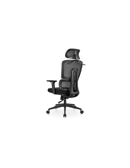 Vanguard | Silla de Oficina Profesional LETTO BELLO